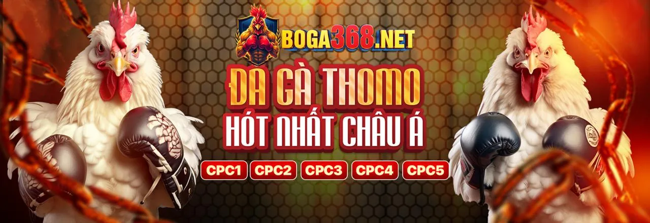 Sòng bạc trực tiếp 3wib với các bàn chơi Baccarat, Blackjack, Roulette và người chia bài chuyên nghiệp.